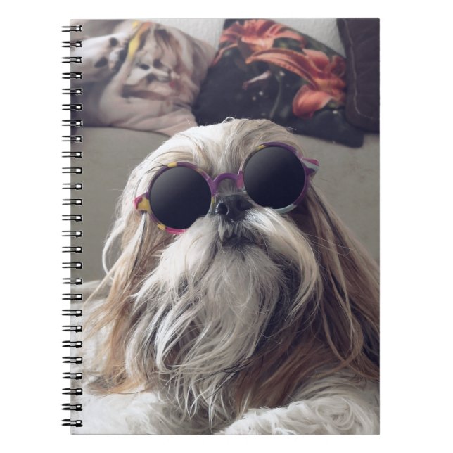 Caderno Espiral Legal Shih Tzu longos óculos de sol (Frente)