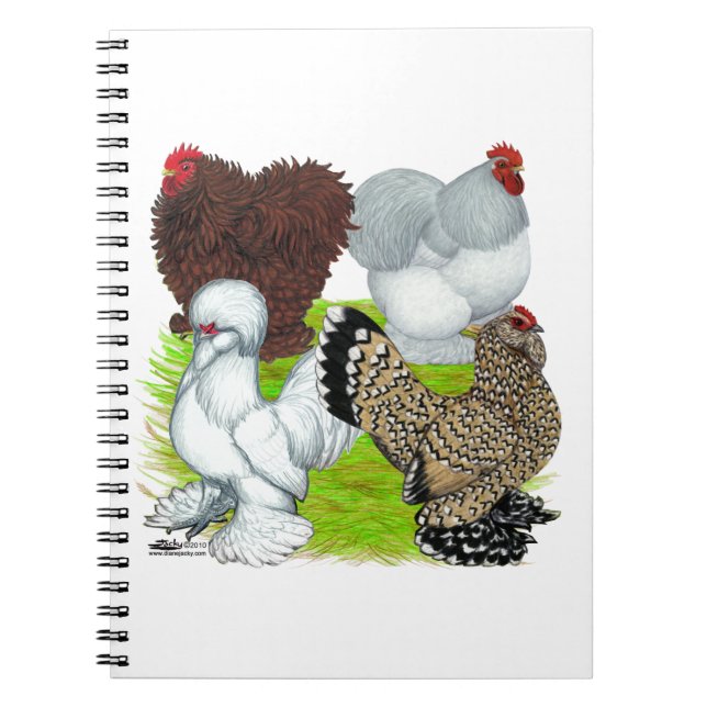 Caderno Espiral Legenda de Bantams Feather (Frente)