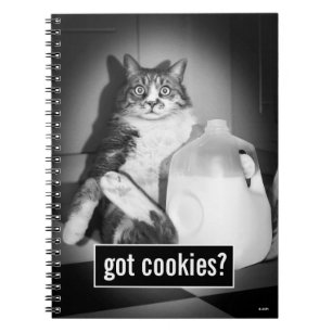 Caderno Espiral Leite De Bebendo De Gato De Jug