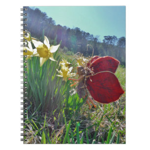Caderno Espiral Leite e flores amarelas