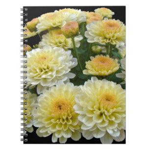 Caderno Espiral Lemon Meringue Chrysanthemums