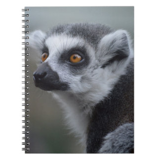Caderno Espiral Lemur