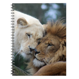 Caderno Espiral Leões