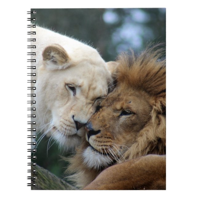Caderno Espiral Leões (Frente)