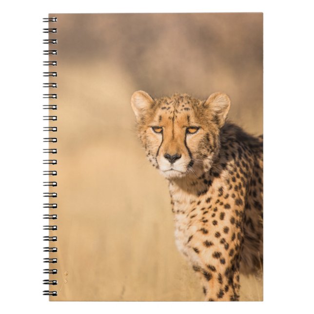 CADERNO ESPIRAL LEOPARD PORTRAIT (Frente)