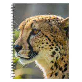 Caderno Espiral leopardo