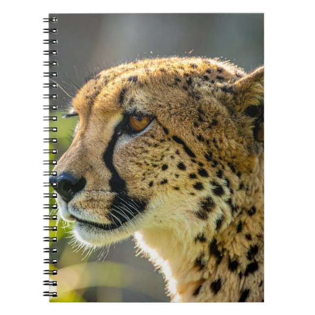 Caderno Espiral leopardo (Frente)