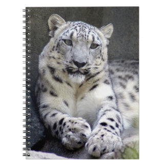 Caderno Espiral leopardo-da-neve 27