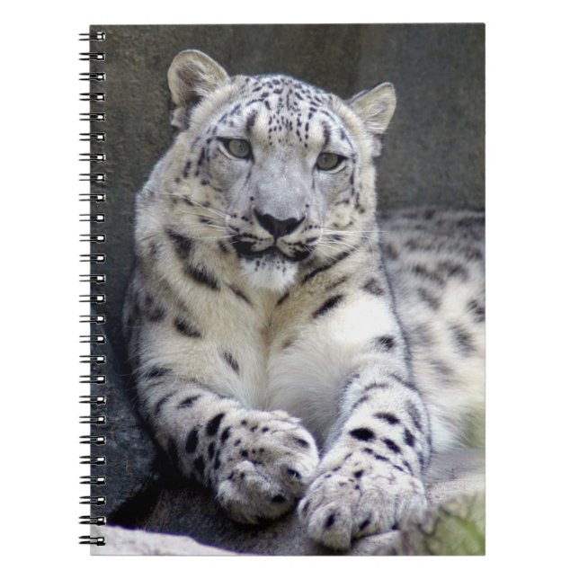 Caderno Espiral leopardo-da-neve 27 (Frente)