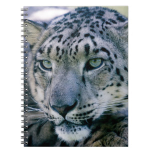 Caderno Espiral Leopardo de Neve