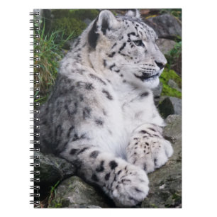 Caderno Espiral Leopardo de Neve Refrigerado
