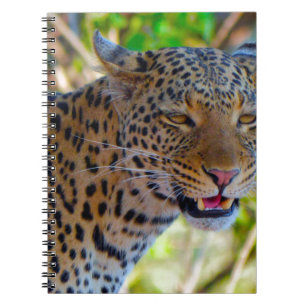 Caderno Espiral Leopardo-de-véu