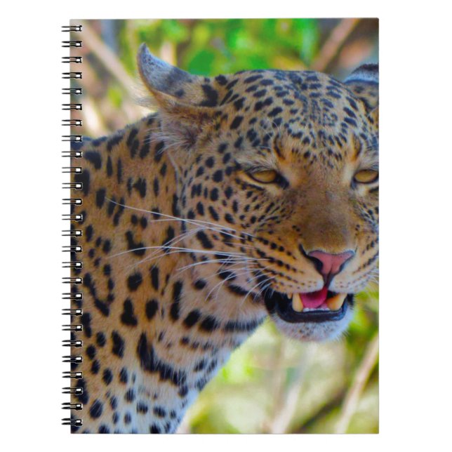 Caderno Espiral Leopardo-de-véu (Frente)