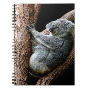 CADERNO ESPIRAL LEVE O SEU TEMPO