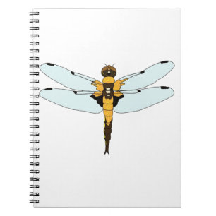 Caderno Espiral libélula de quatro pontas