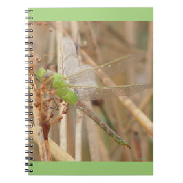 Caderno Espiral Libélula Verde I1