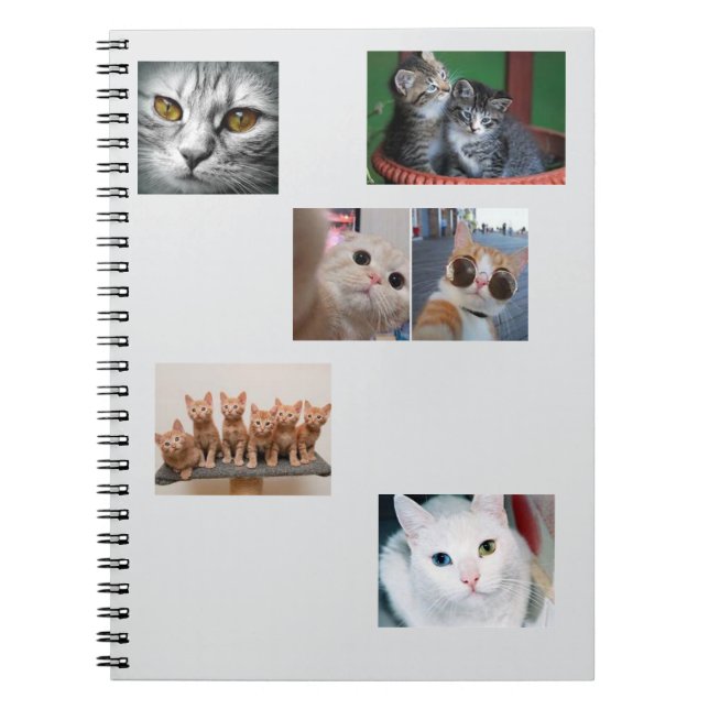 Caderno Espiral Libro de Gatos (Frente)