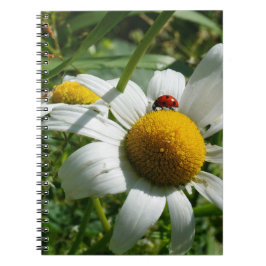 Caderno Espiral Lieveheersbeestje op margriet in de natuur.