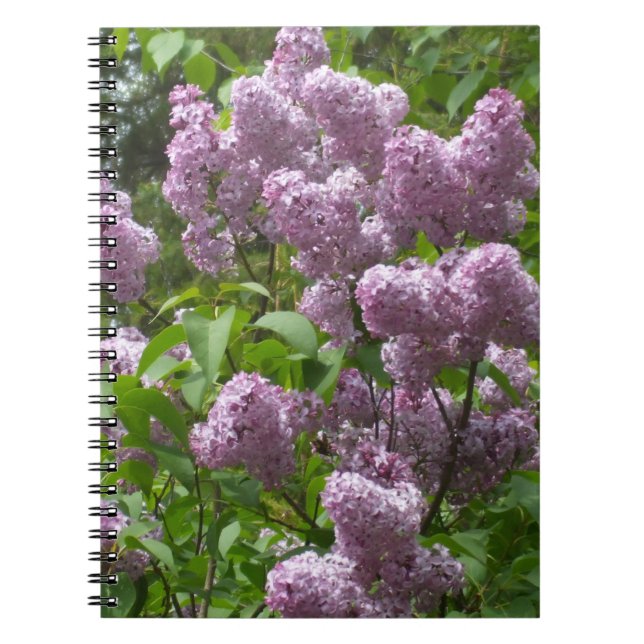 Caderno Espiral Lilac Bush bonito (Frente)