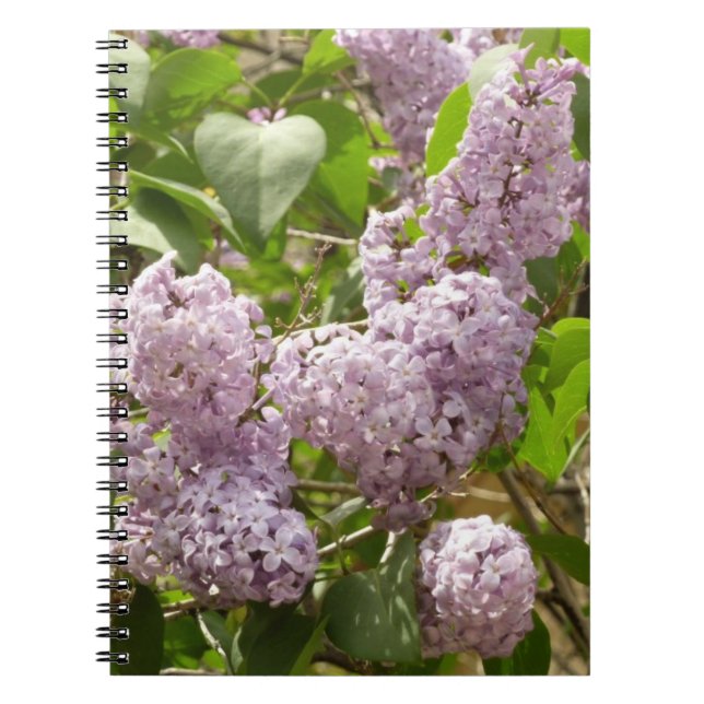 Caderno Espiral Lilac Bush Lindas Flores de primavera Roxas (Frente)