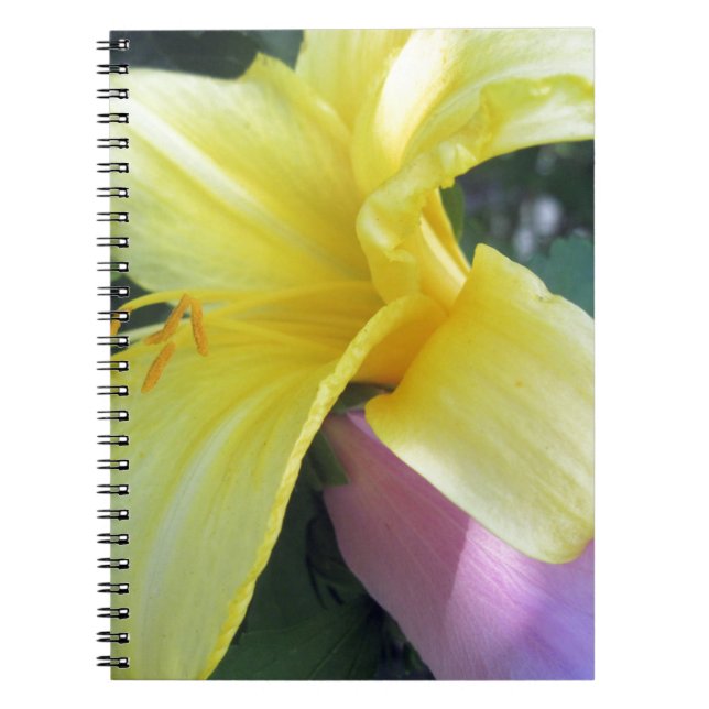 Caderno Espiral Lily Amarela (Frente)