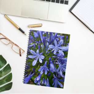 Caderno Espiral Lily Azul do Nilo Agapanthus Floral