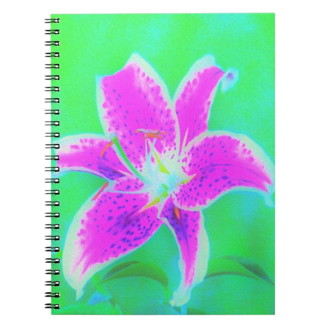 Caderno Espiral Lily, com Stargazer Rosa Quente, em Turquesa e Ver (Frente)