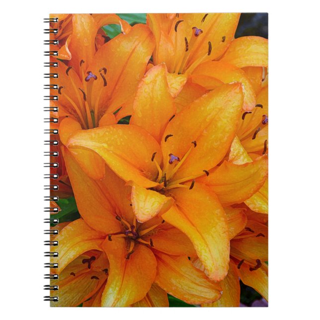Caderno Espiral Lily design, cor de laranja (Frente)