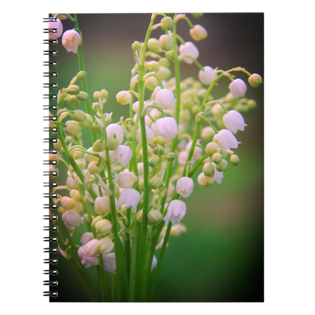 Caderno Espiral Lily do vale (Frente)