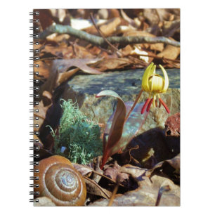 Caderno Espiral Lily e Shell com Trutas Amarelas e de Pedra
