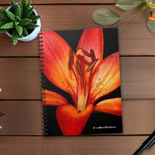 Caderno Espiral Lily Gran Paradiso, Linda Laranja Vermelha Asiátic