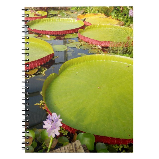 Caderno Espiral Lily Pads Fotografia para Notebook (Frente)