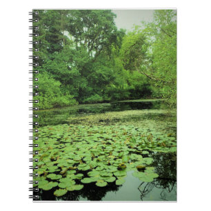 Caderno Espiral Lily Pads no Pond