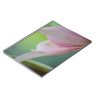 Caderno Espiral Lily rosa por Shirley Taylor