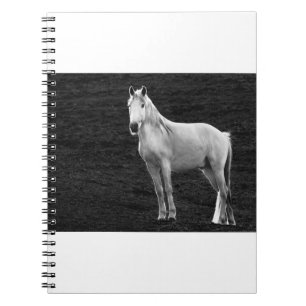 Caderno Espiral LIN10BW o Stance.tif