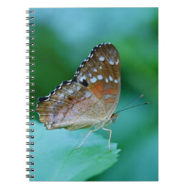 Caderno Espiral Linda Borboleta Danaus Plexippus na Folha.