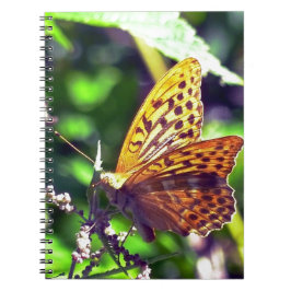 Caderno Espiral Linda Borboleta Manchada de Laranja e Preto