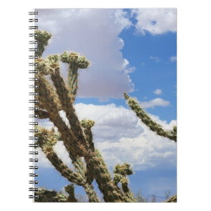 Caderno Espiral Linda Foto Cactus