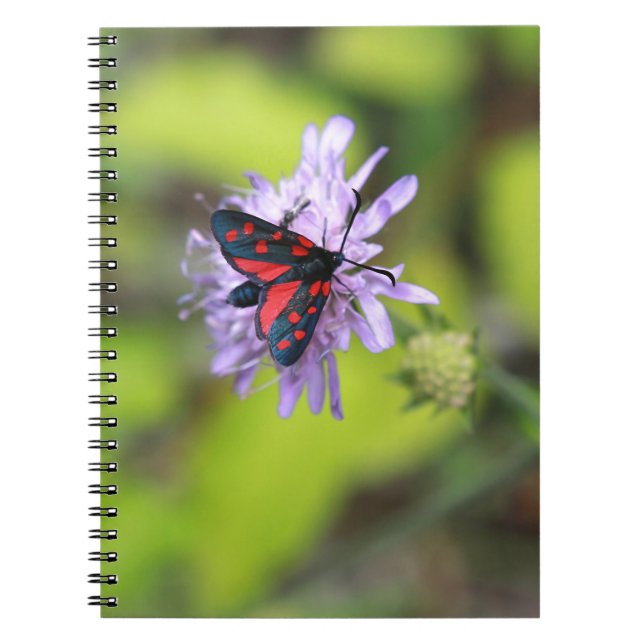 Caderno Espiral Linda Mama (Frente)