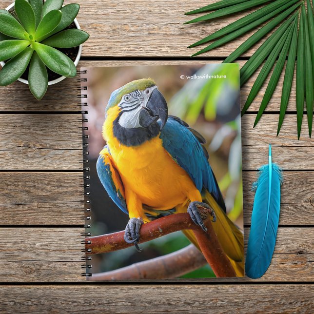 Caderno Espiral Linda Mara Azul e Dourada (Beautiful Blue and Gold Macaw on a Branch Journal Cover Photo)