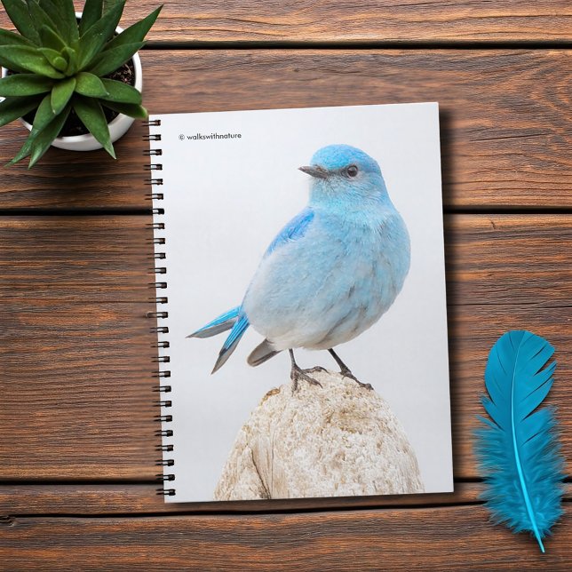 Caderno Espiral Linda Montanha Bluebird na Praia (Beautiful Mountain Bluebird at the Beach Journal Cover Photo)