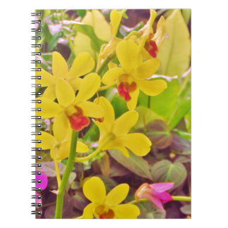 Caderno Espiral Lindas orquídeas de outono amarelas