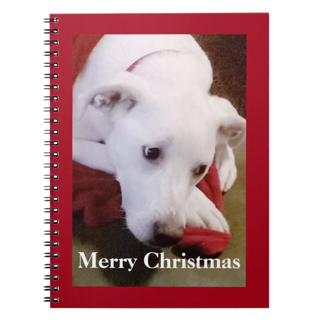 Caderno Espiral Lindo Cachorro Branco Nevado Natal Vermelho (Frente)