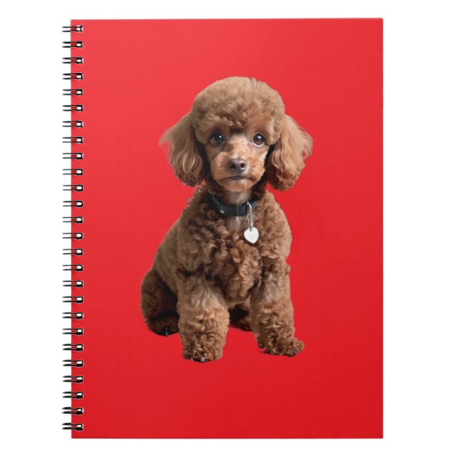 Caderno Espiral Lindo Poodle Xícara de Chá (Frente)