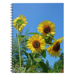 Caderno Espiral Lindos girassóis amarelos