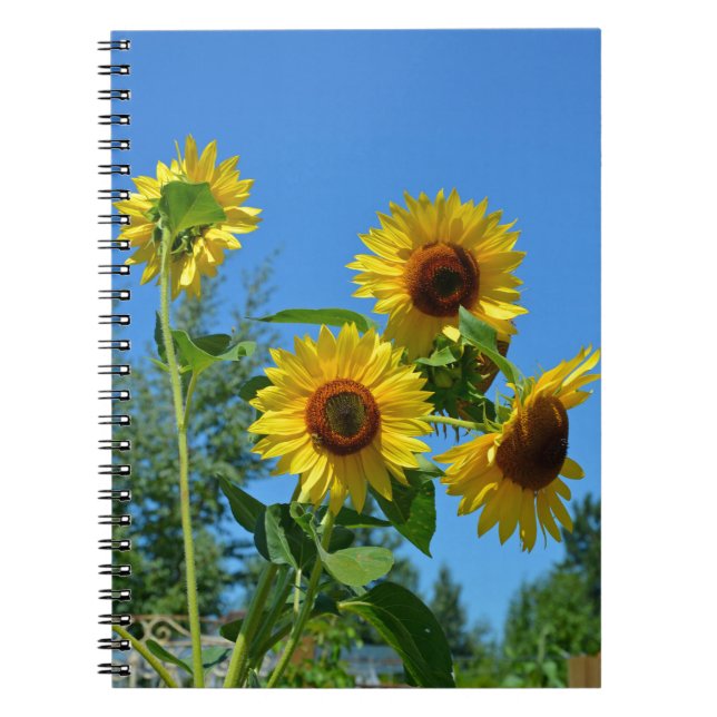 Caderno Espiral Lindos girassóis amarelos (Frente)