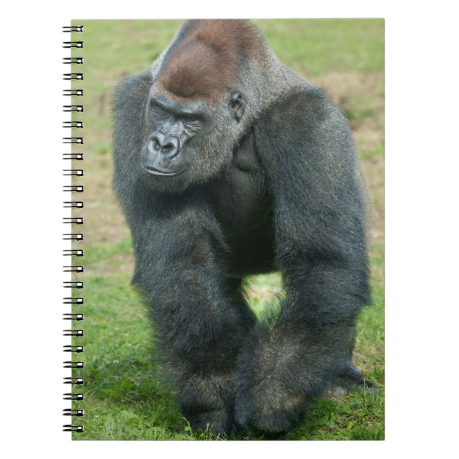 Caderno Espiral Linguagem de Força do Gorila (Frente)