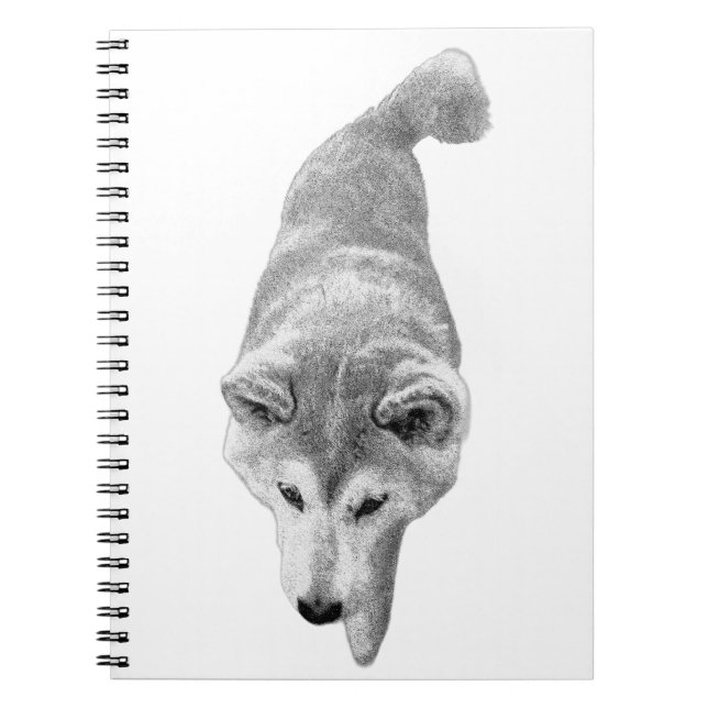 Caderno Espiral Linhas de objetivo (Frente)