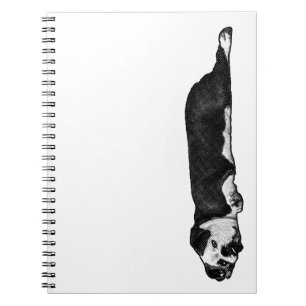 Caderno Espiral Linhas e pensamentos preguiçosos