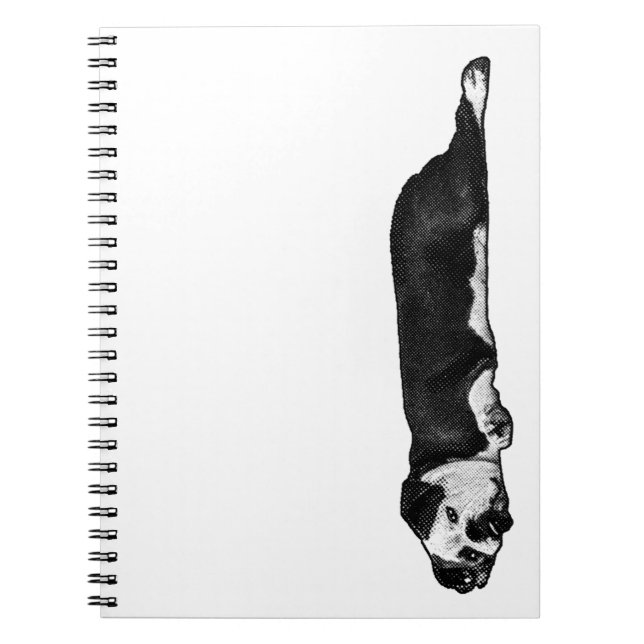 Caderno Espiral Linhas e pensamentos preguiçosos (Frente)